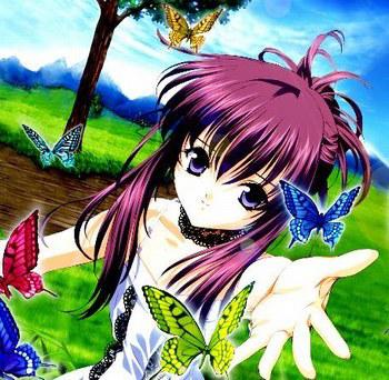 Butterfly